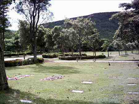 image001