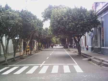 image019