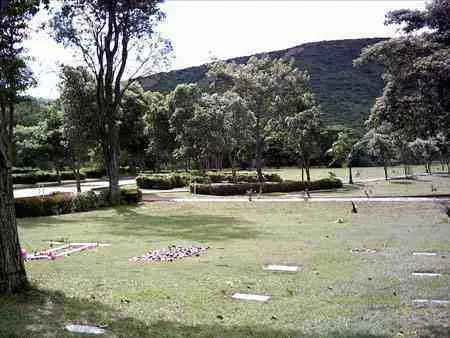 Jardines La Esperanza. Autopista vía al municipio Los Patios.