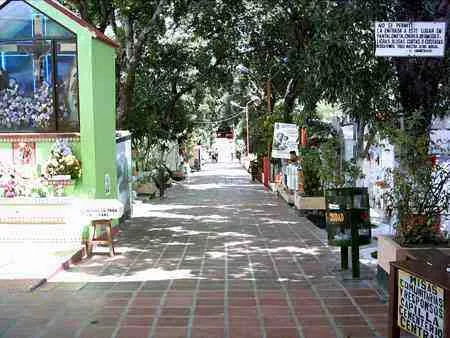 Sendero entre bóvedas y jardines de un cementerio de la ciudad