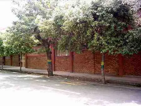 Muro de ladrillo y árboles frente a un colegio de la ciudad