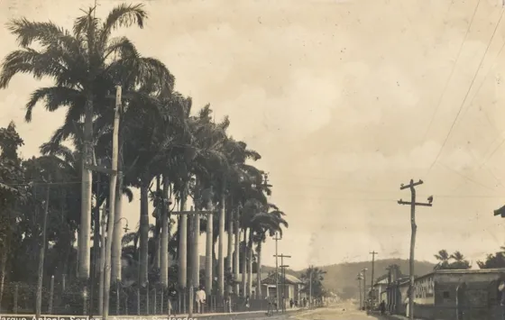 Parque Antonia Santos en la avenida Santander actual avenida 7ª Foto donada por el Doctor: Virgilio Durán Martínez