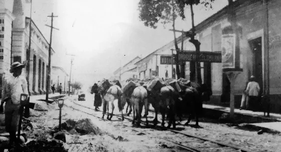 Centro de Cúcuta. Calle 11 Av. 6a. y 7a. 1910. Frente al Mercado cubierto, en esa época las mulas de carga eran el transporte cotidiano de los pequeños y medianos comerciantes que vendían sus productos en el comercio de la ciudad.