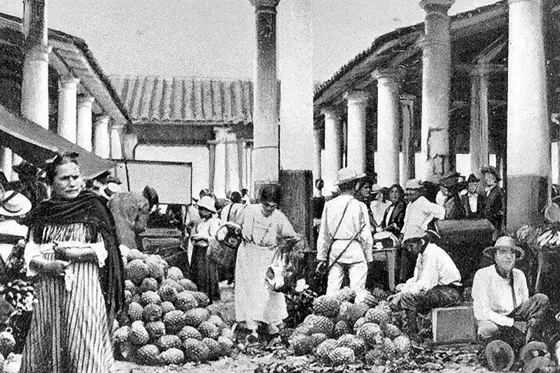 Venta de frutas en el interior del Mercado Cubierto. Calle 11 con avenida 6. 1916