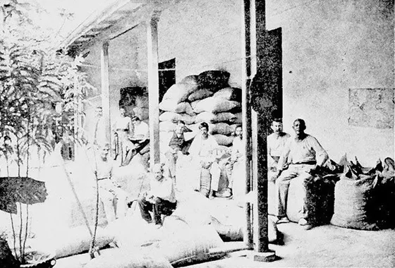 Interior casa comercial de Jorge Cristo la cual exportaba café vía Maracaibo.1916