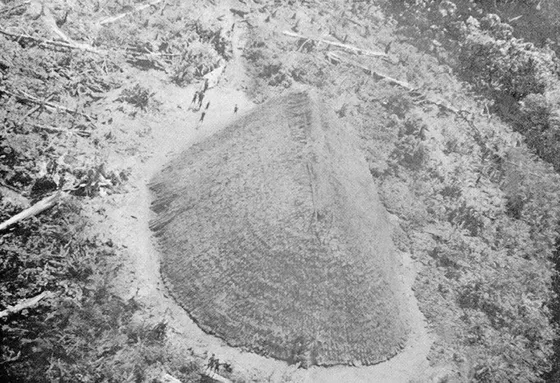 Bohio Motilón. Típica vivienda de los indios motilones en la región del Catatumbo. Década del 50.