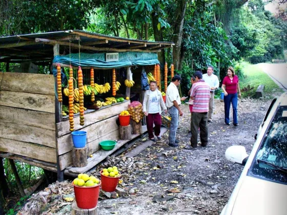 Venta de Frutas ruta pamplona