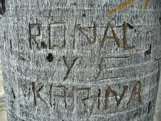 Recuerdos dejados por las personas en las palmeras del Templo histórico de Villa del Rosario