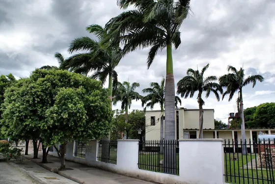 Edificación entre palmeras y árboles