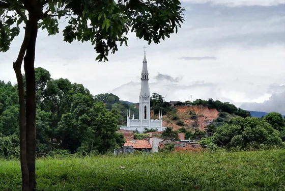 Torre blanca de una iglesia vista entre los árboles