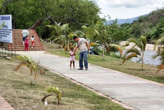 Sendero peatonal con palmeras jóvenes junto al río