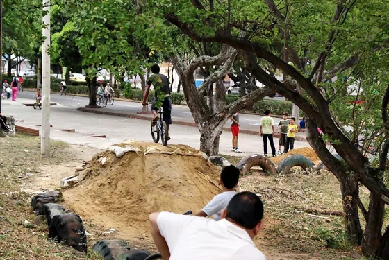Pista de tierra para bicicletas entre los árboles