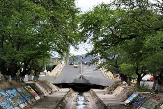 Canal de aguas entre árboles, con murales en sus paredes