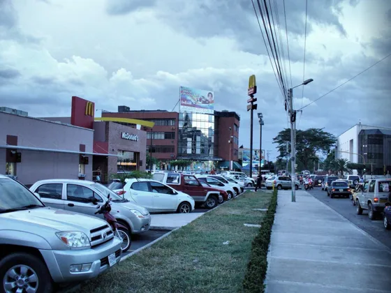 Avenida con separador de pasto y locales comerciales