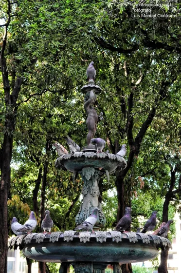 Una de las fuentes del parque Santander. Cúcuta