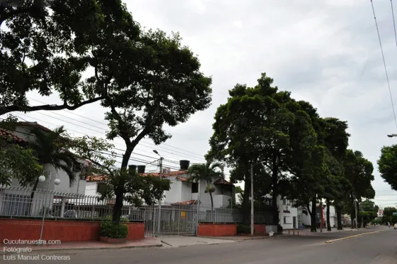 Avenida 1 entre calles 21C y 21B. Cúcuta