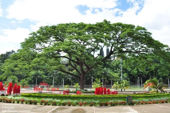 Interior Ecoparque. Cúcuta