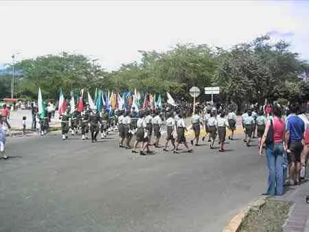 Estudiantes con banderas en el desfile
