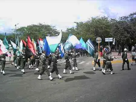 Banda de un colegio con banderas