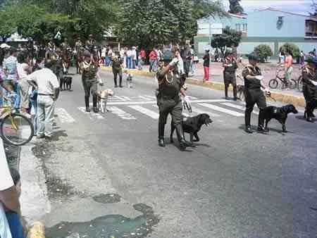 Policías con perros adiestrados en el desfile