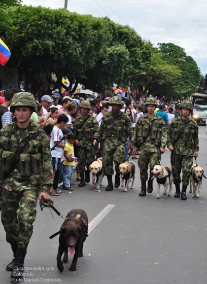 Soldados con perros adiestrados