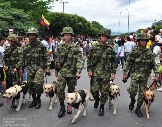 Binomios caninos del Ejército en el desfile