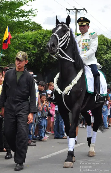 Jinete de uniforme de gala en un caballo negro