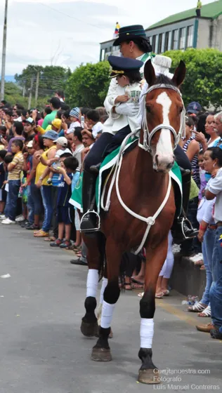 Jinete de la Policía en el desfile