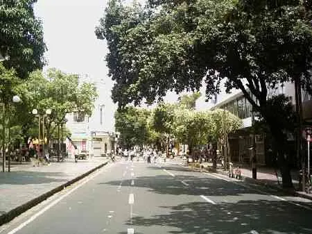 Calle 10 frente al Parque Santander.
