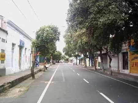 Calle vacía y arborizada durante el día sin carro