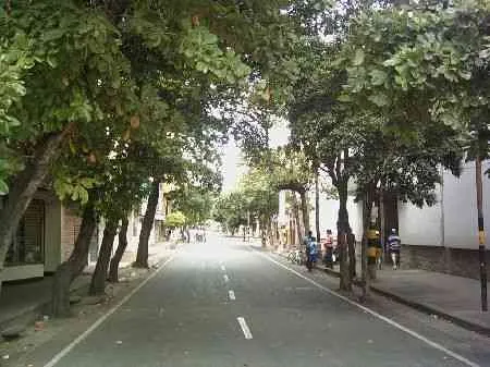 Calle 12: Vista desde la avenida 5a hacia la avenida 6a.