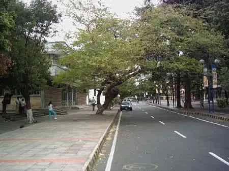 Avenida 0. Vista desde la calle 10 hacia la calle 11.