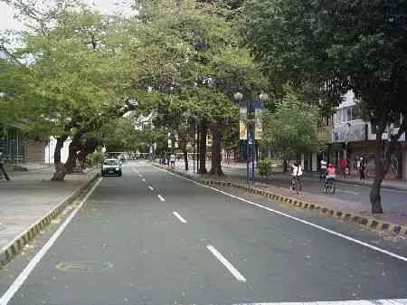 Avenida arborizada casi vacía durante el día sin carro