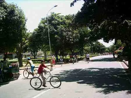 Ciclistas en el sendero arborizado del Malecón