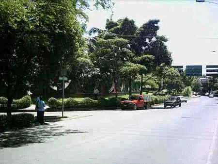 Avenida Libertadores arborizada