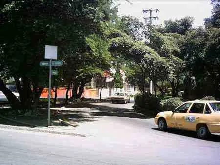 Cruce arborizado en la Avenida Libertadores