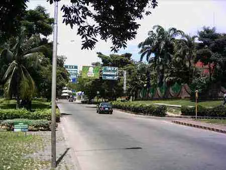 Avenida con palmeras y zonas verdes