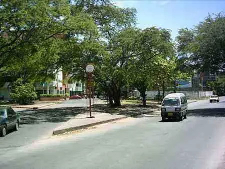 Avenida Libertadores y su separador arborizado