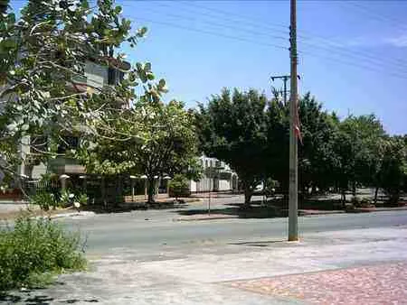 Esquina arborizada en la avenida