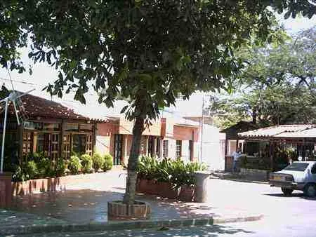 Restaurante con jardineras bajo un árbol