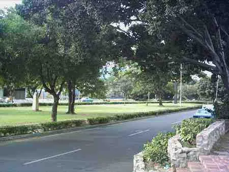 Zonas verdes arborizadas del Malecón