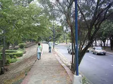 Peatones por el andén arborizado de la avenida