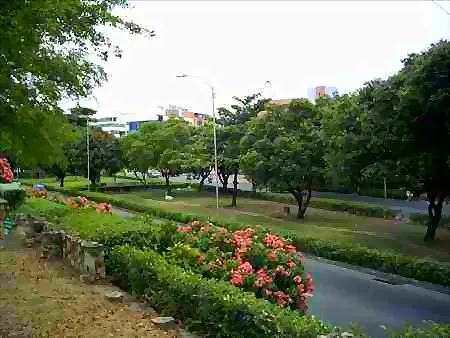 Jardines con flores en el separador
