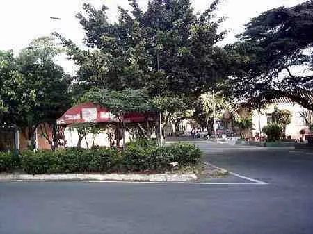 Separador arborizado frente a un restaurante