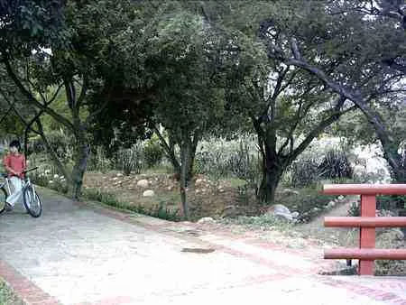 Sendero con barandas junto al río