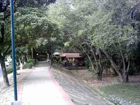 Sendero peatonal arborizado del Malecón