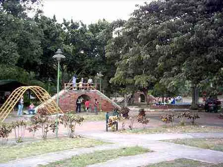 Juegos infantiles bajo los árboles