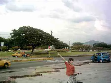 Niño en bicicleta junto a la avenida
