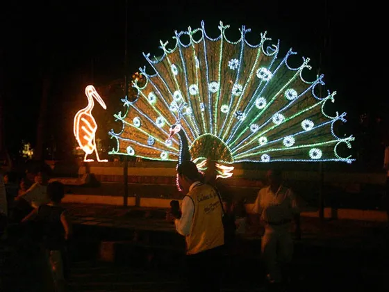 Pavo Real Una de las decoraciones mas llamativas del Parque Colón esta navidad