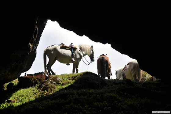 Desde la oscuridad, Paramo de Guerrero